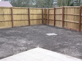 BACK GARDEN